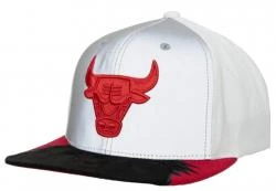 Mitchell & Ness Chicago Bulls Grey White Day 5 Snapback Cap Kappe Basecap