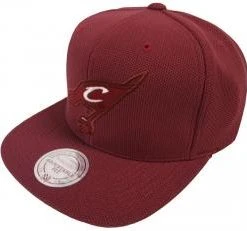Mitchell & Ness Cleveland Cavaliers Mesh EU847 Snapback Cap Kappe Basecap