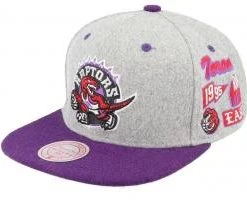 Mitchell & Ness Toronto Raptors Melton Patch Hardwood Classics Snapback Cap Basecap