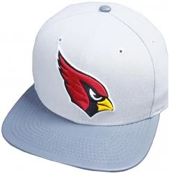 New Era Arizona Cardinals NFL Grey Storm 9fifty 950 Snapback Cap Original Fit OSFA Basecap Limited Edition